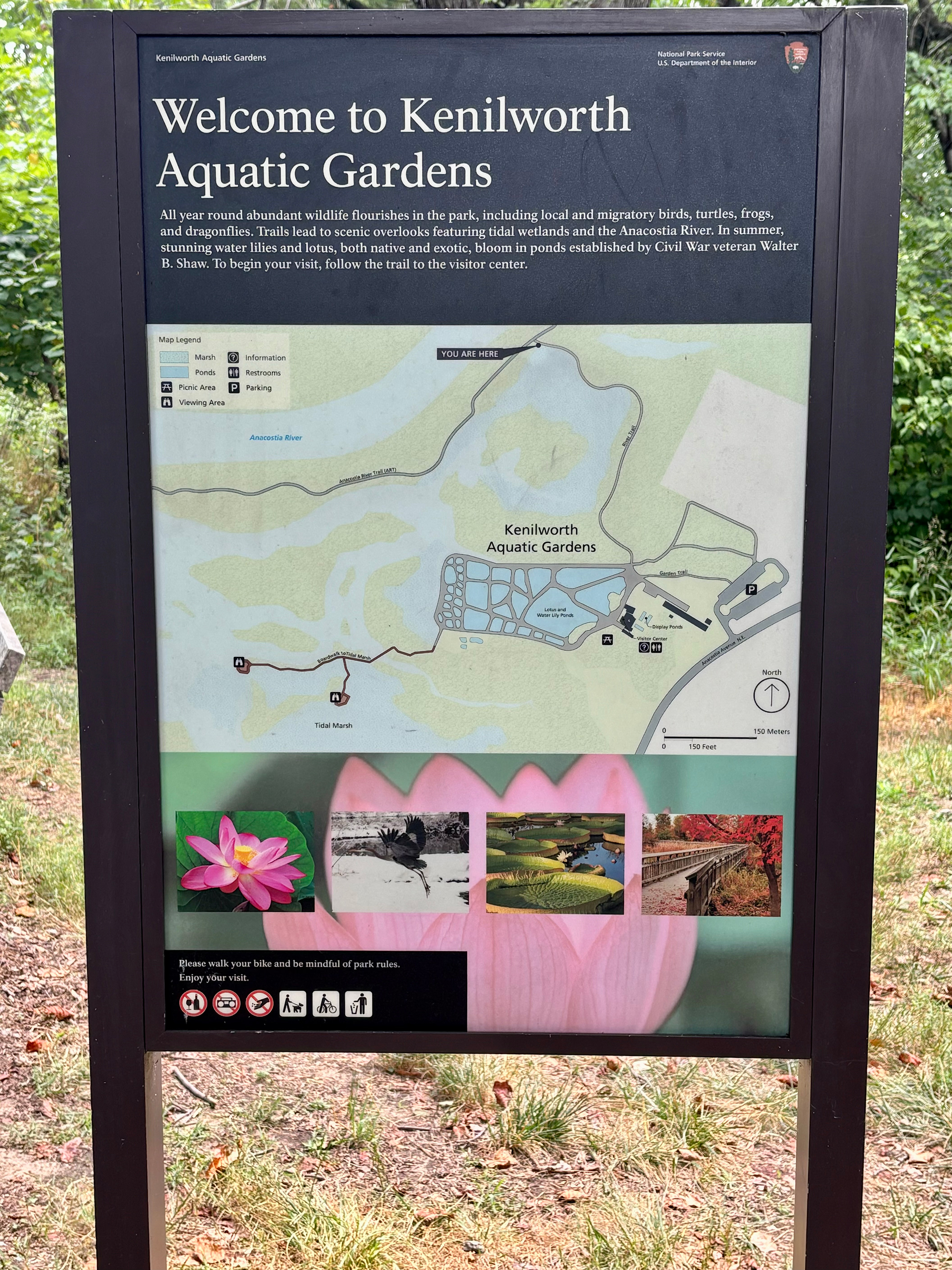 Kenilworth Aquatic Gardens Map